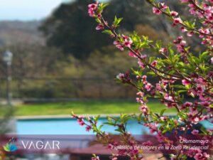 Navidad inolvidable en una casa de alquiler vacacional